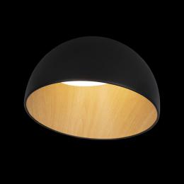 Потолочный светодиодный светильник Loft IT Egg 10197/350 Black  - 3 купить